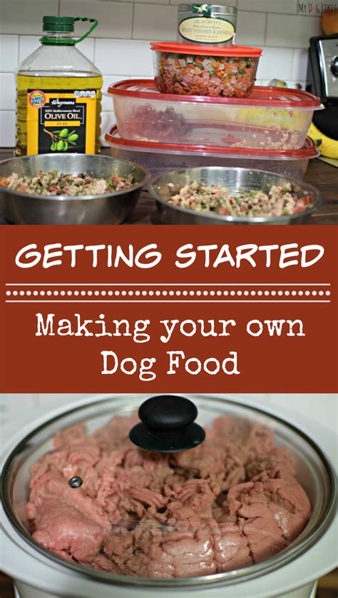 Create Nutritious Dog Meals: DIY Healthy Food Recipes